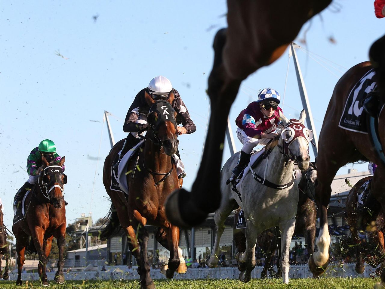 Runner Bull Wins 2018 Longines International Topkapi Trophy Eurosport