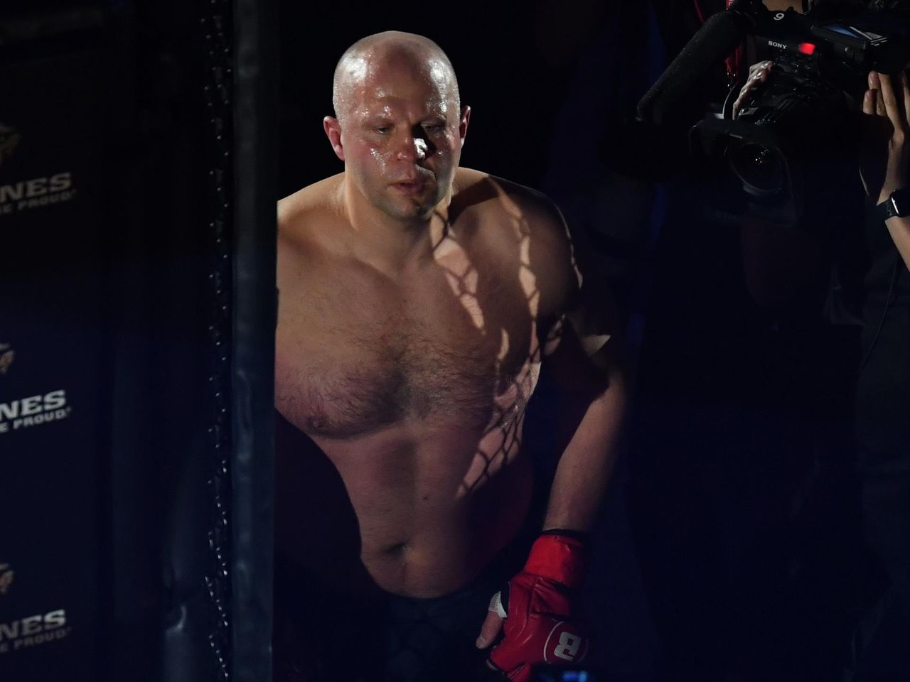 бой федора емельяненко и фабрисио вердума