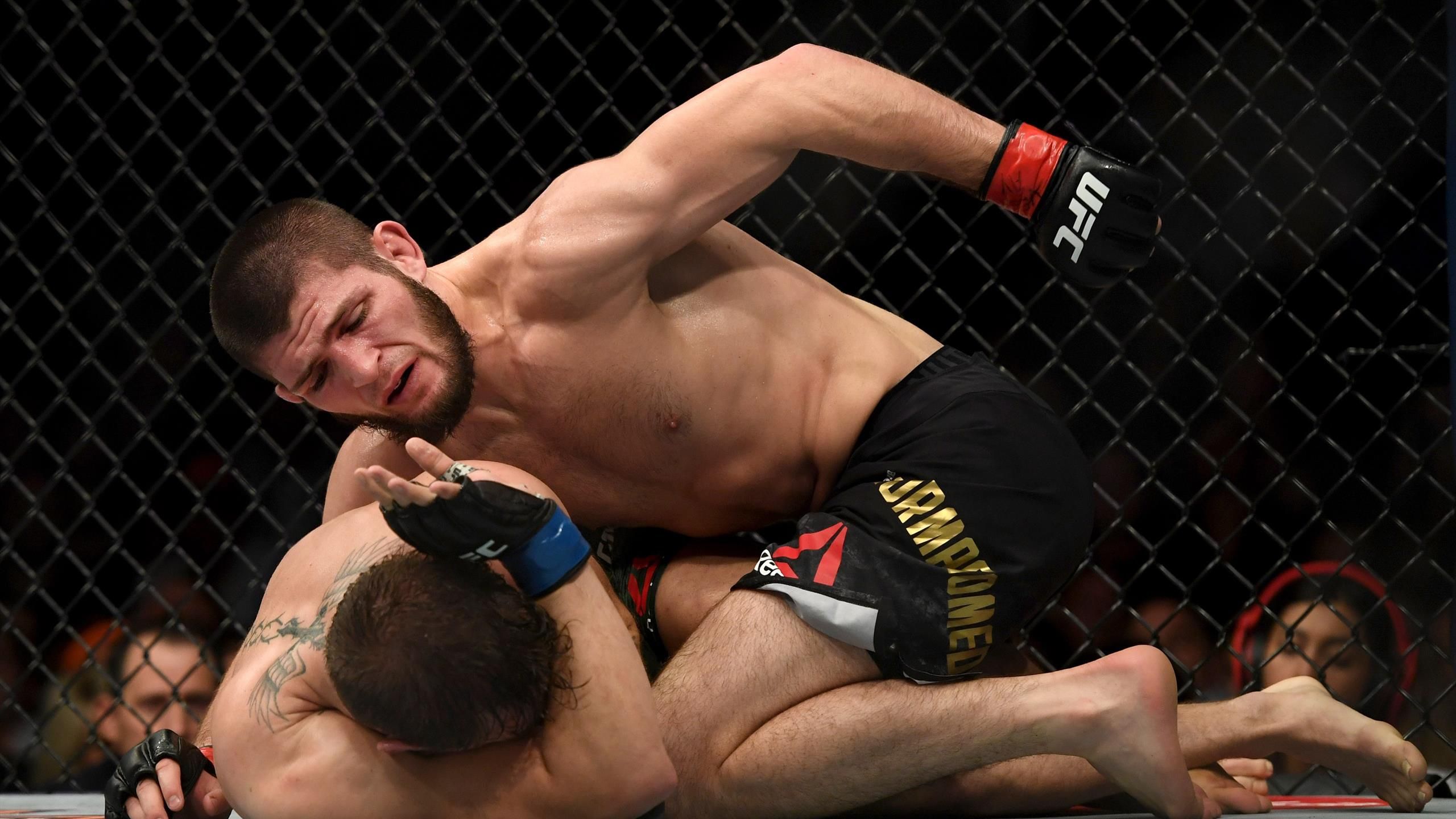 oficialno boj habiba nurmagomedova i