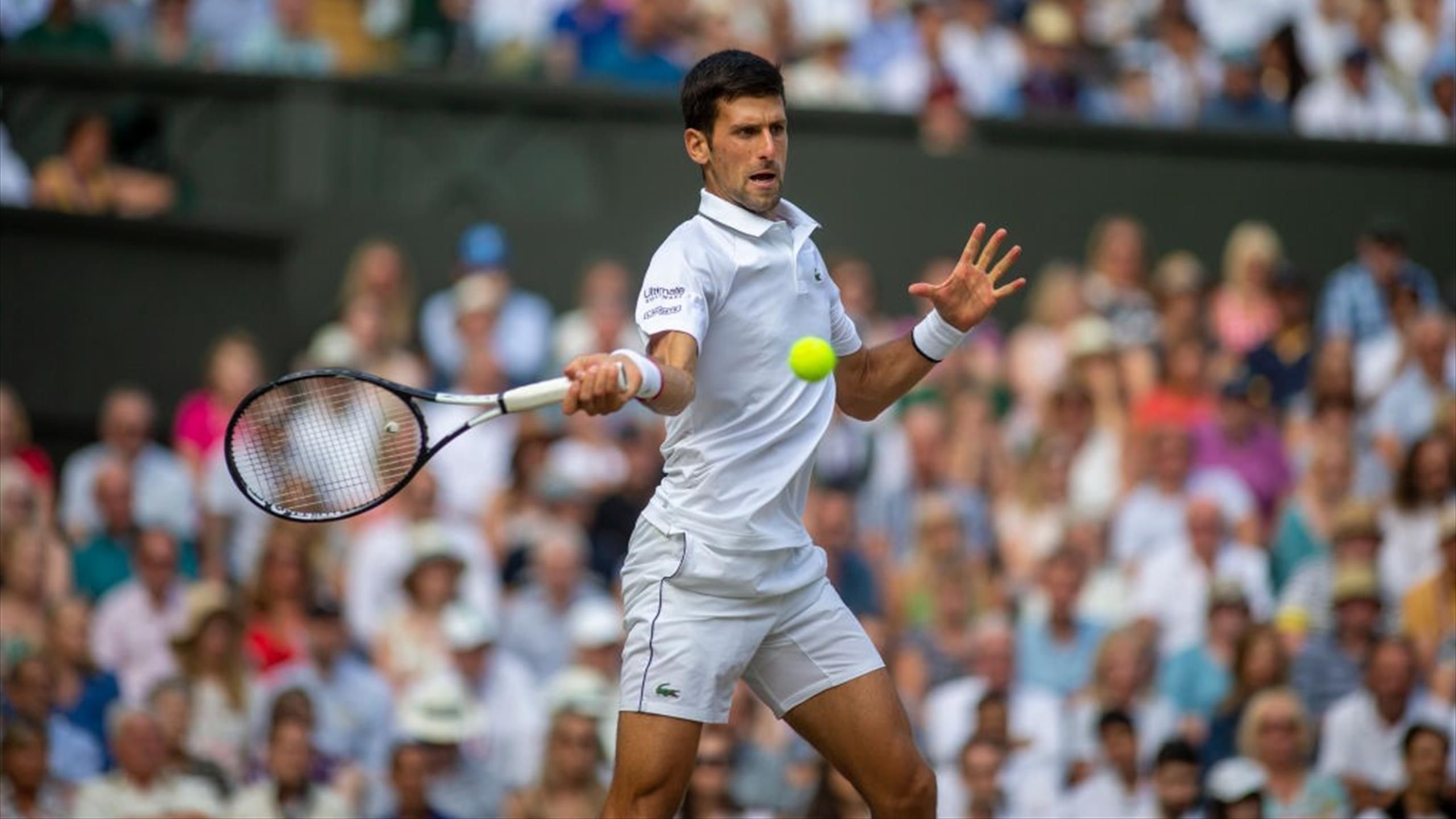 Wimbledon Ansetzungen Fur Montag Novak Djokovic Und Andy Murray Direkt Gefordert Eurosport