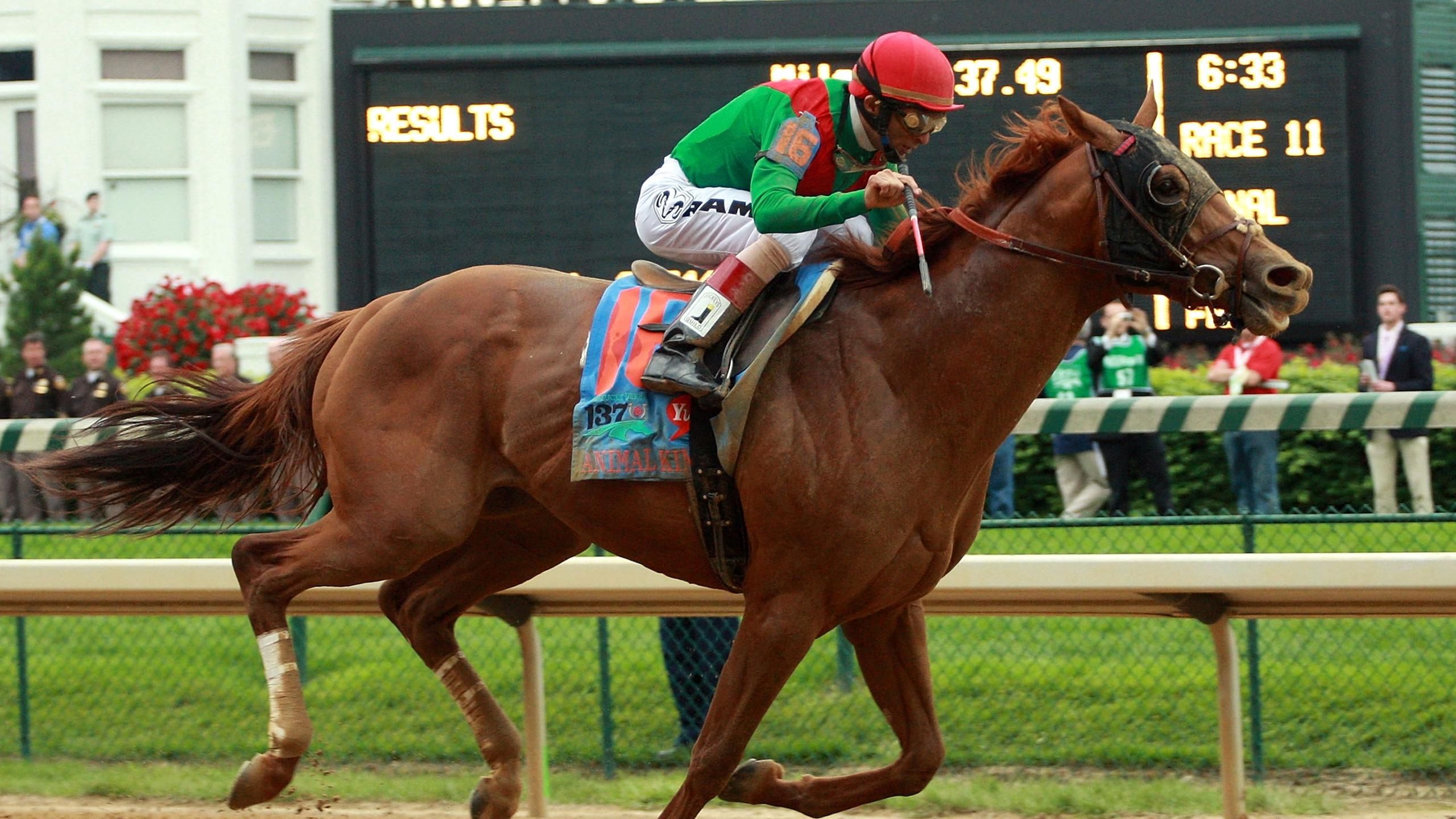 Kentucky Derby 2011: The 137th Run for the Roses at Churchill