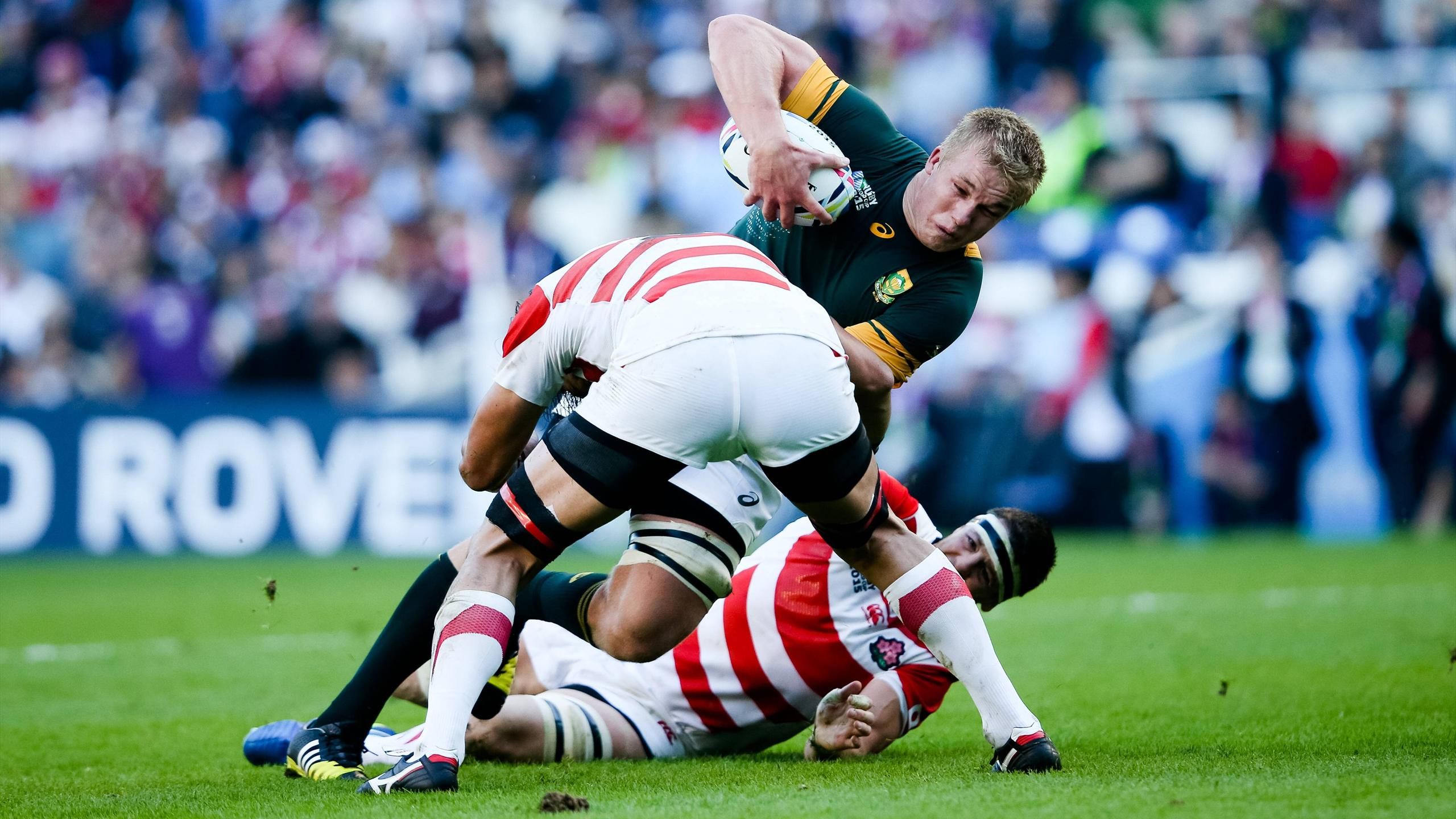 Rugby-WM: Eurosport-Kommentator Jan Lüdeke wünscht sich einen Boom im ...