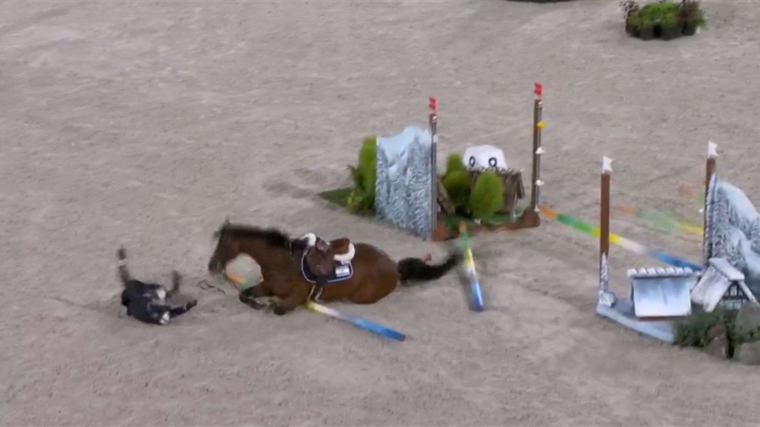 Olympia 2021 Springreiten Teddy Vlock stürzt in Qualifikation zum