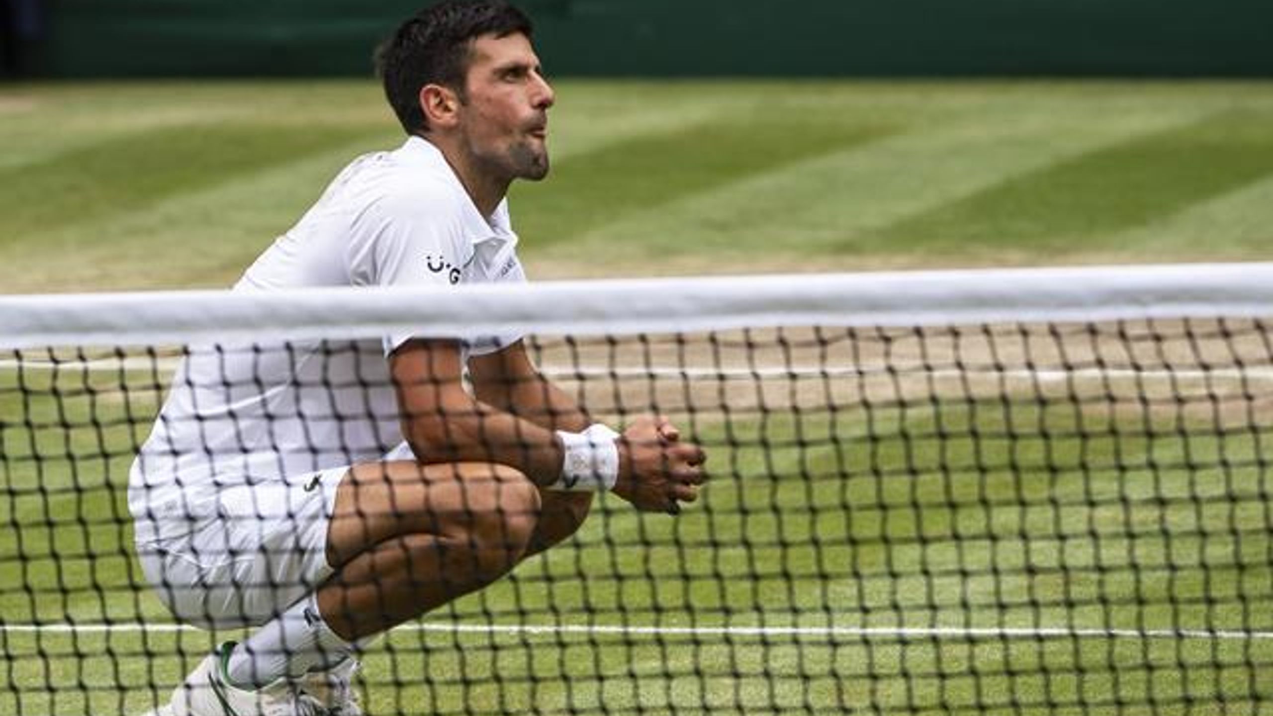 Àlex Corretja exklusiv zu Wimbledon: 