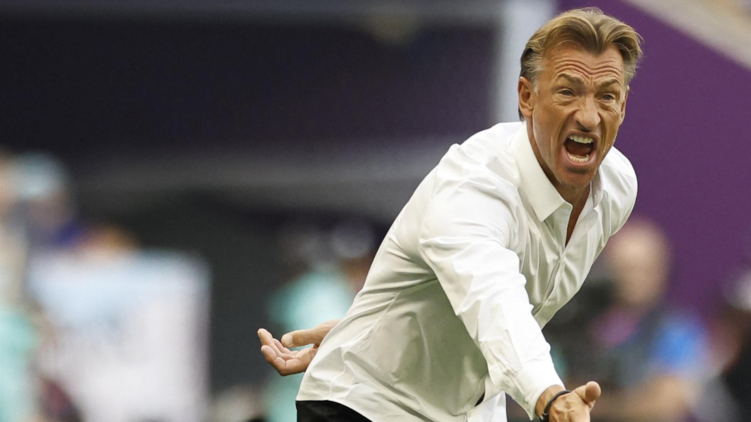 Herve Renard named head coach of French women's national team 03/31/2023