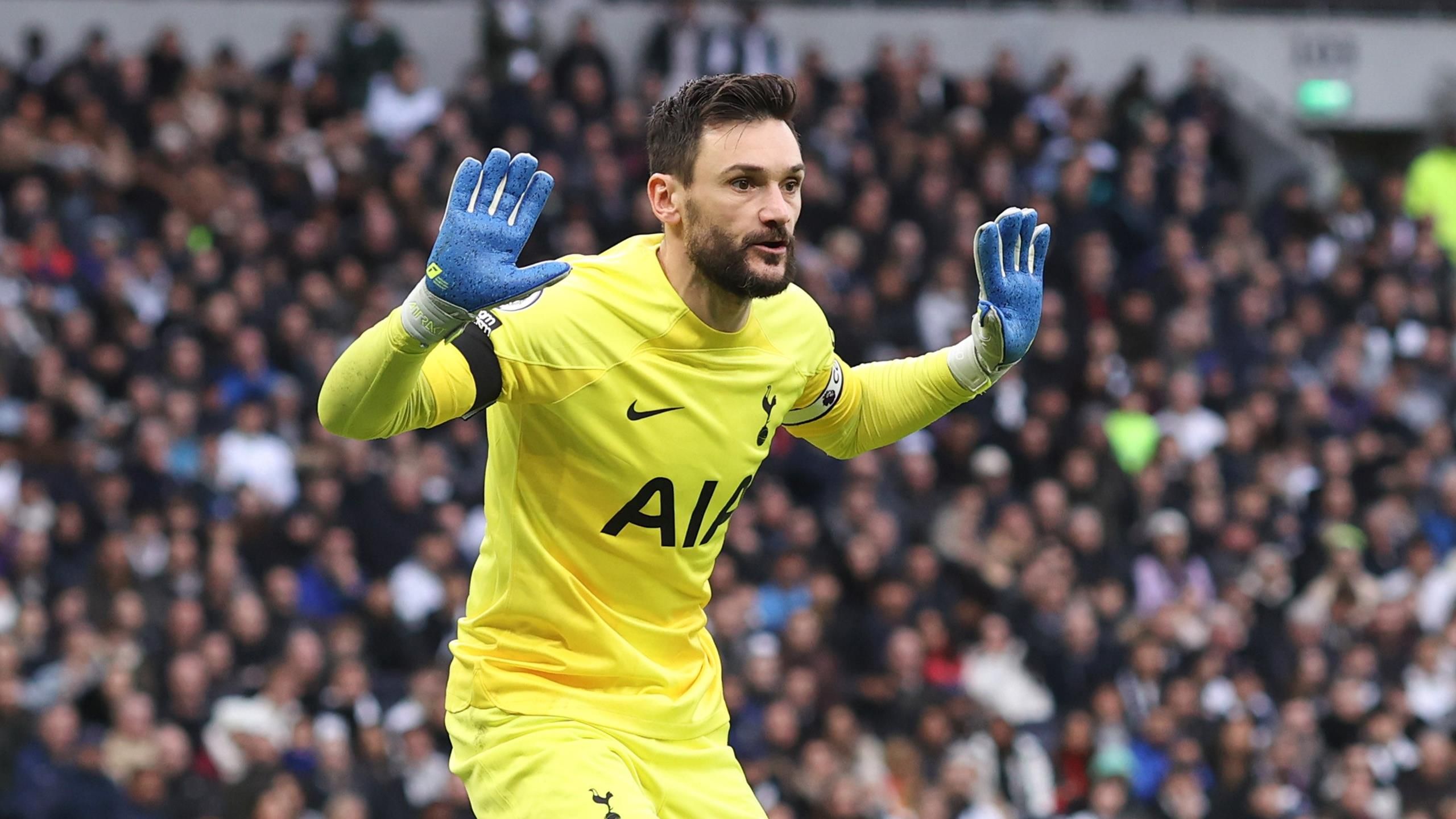 Распечатать Lloris