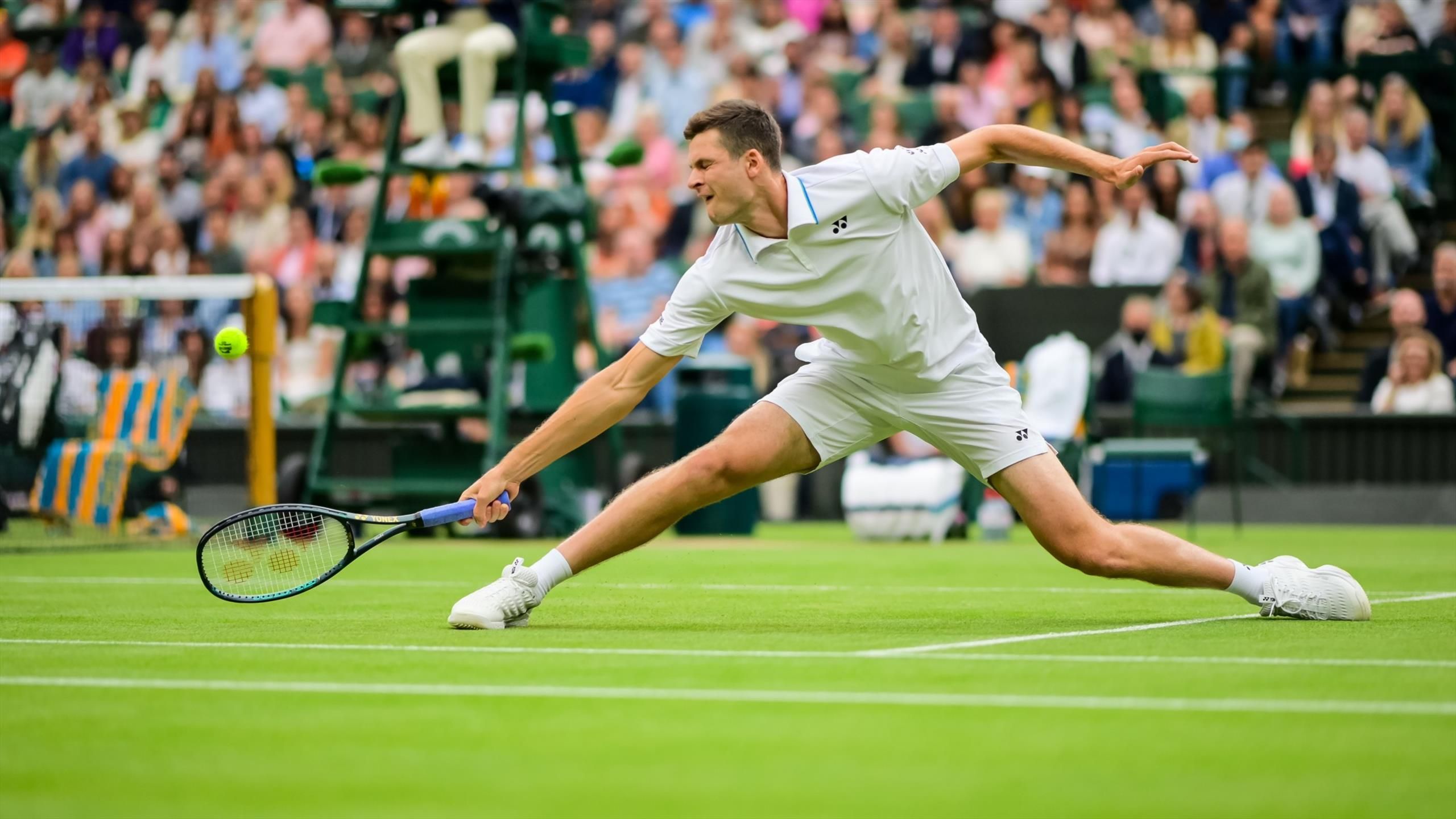 Hubert Hurkacz w półfinale Wimbledonu 2021. Polak awansuje na co