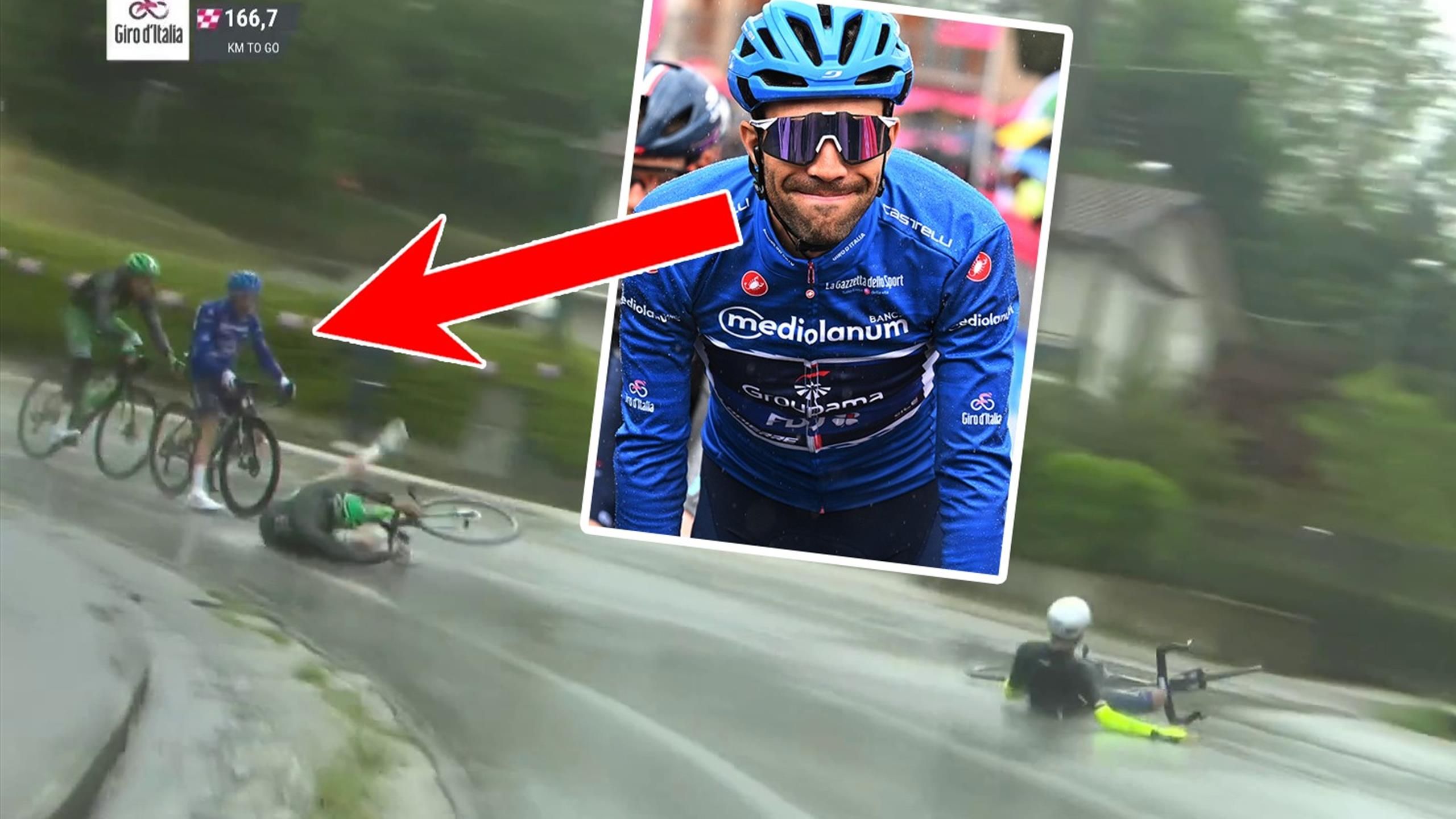 Thibaut outlet pinot bike