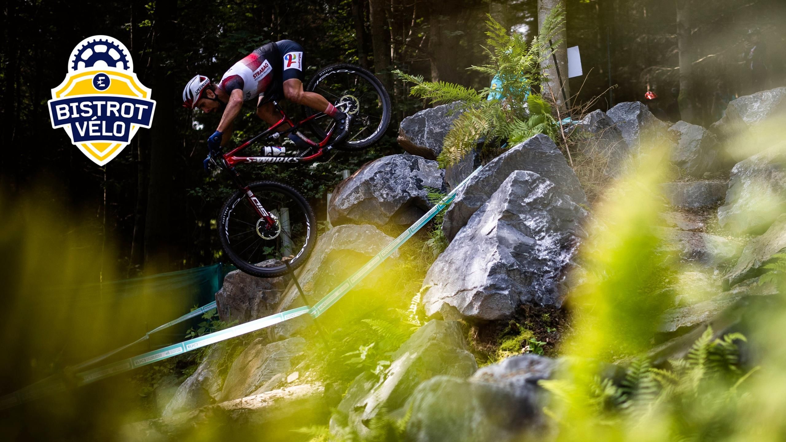 Peter sagan 2025 vtt