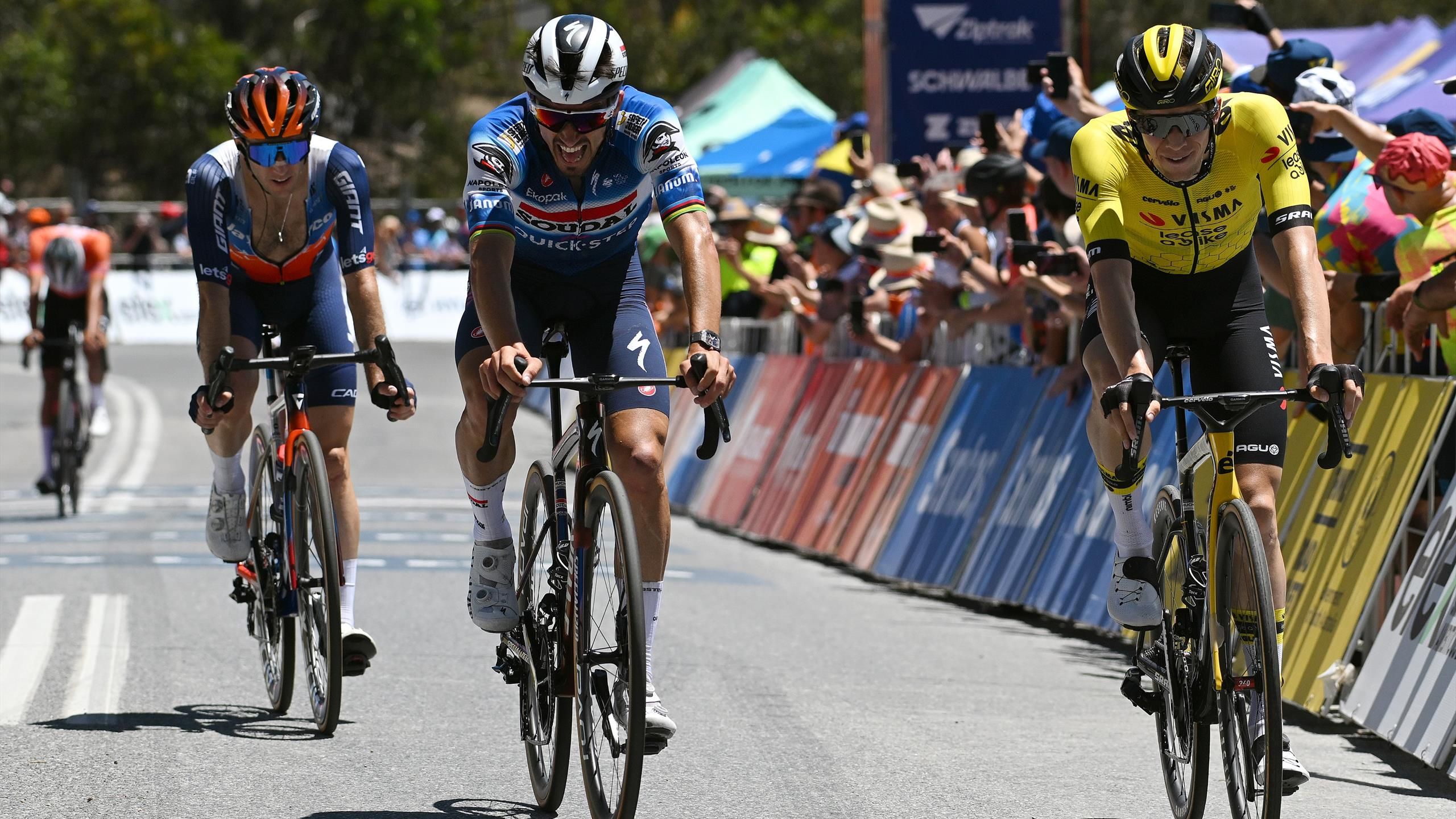 Alaphilippe 'doesn't know' if he'll stay with Soudal Quick-Step in 2025, hints at retirement