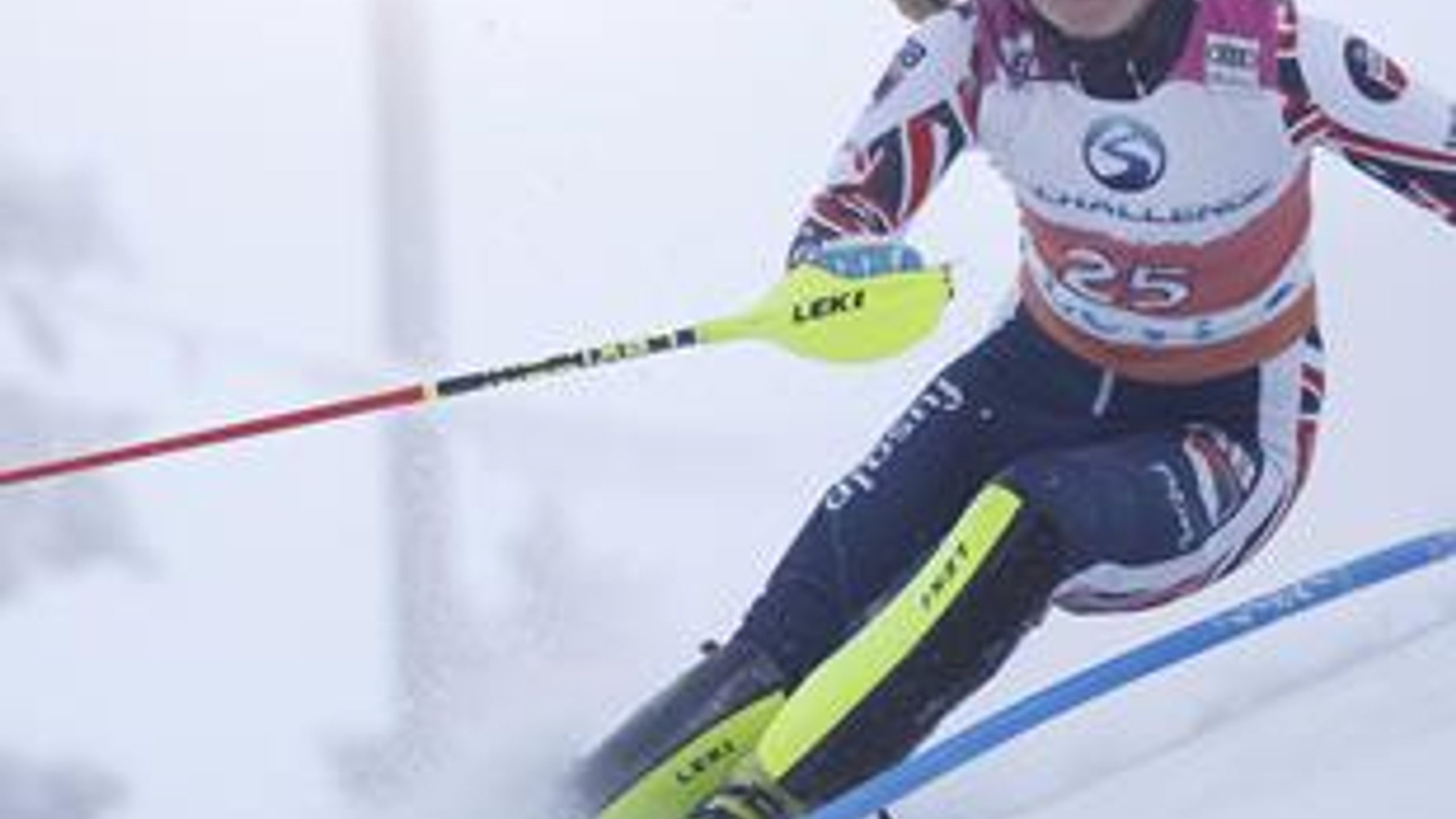 Ski alpin: Brandbrief von Charlie Guest an die FIS erhält prominente ...