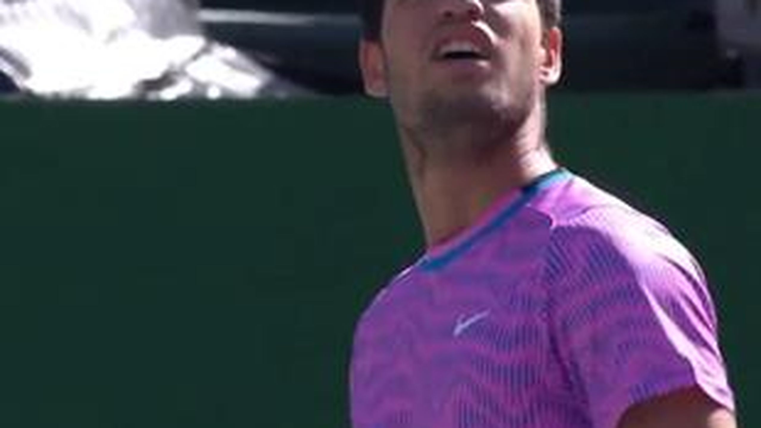 ATP Indian Wells : Attack of the Bees - Tennis video - Eurosport