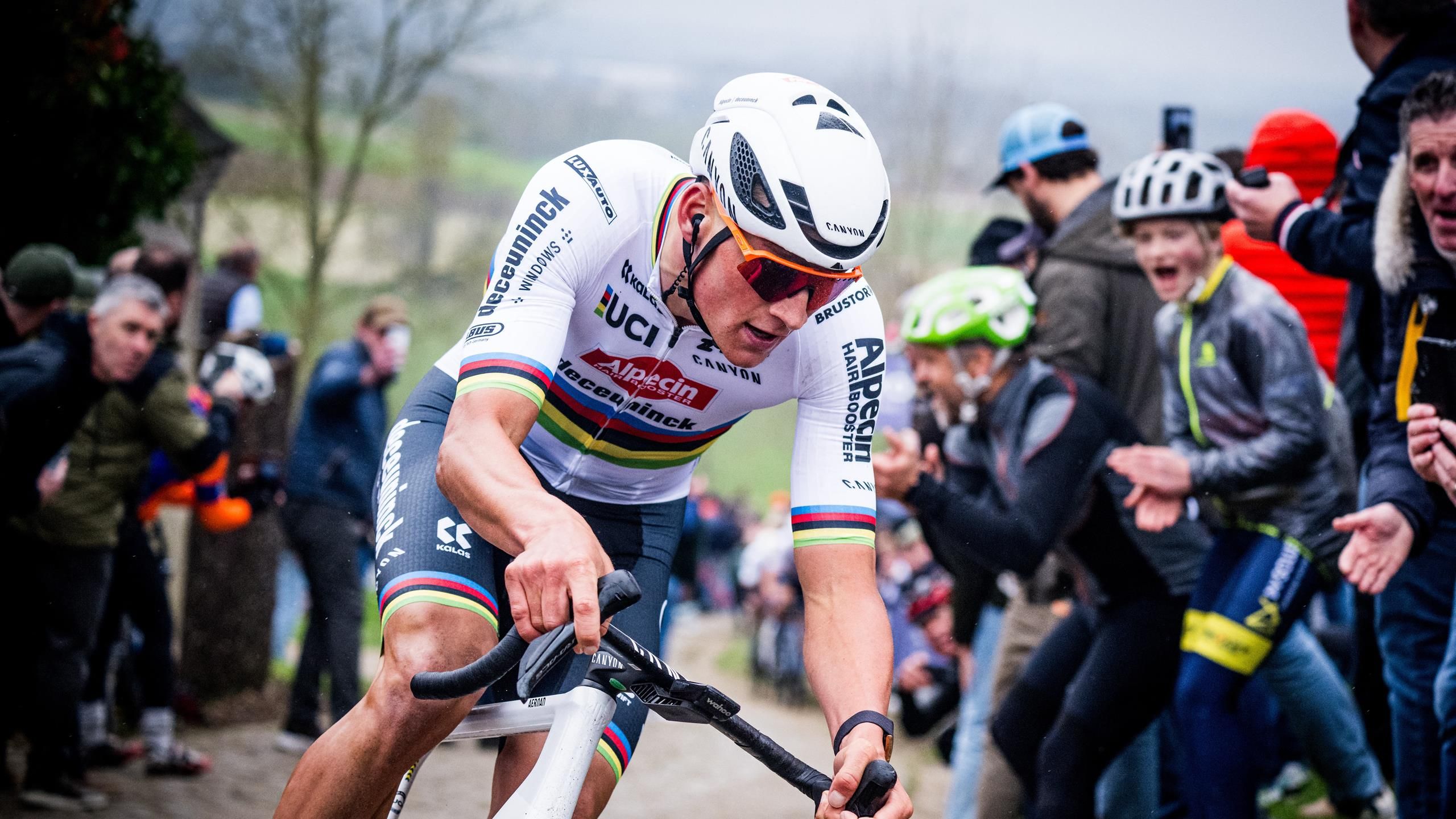 Van der Poel says 'more pressure' to win Flanders in Van Aert and Stuyven absence