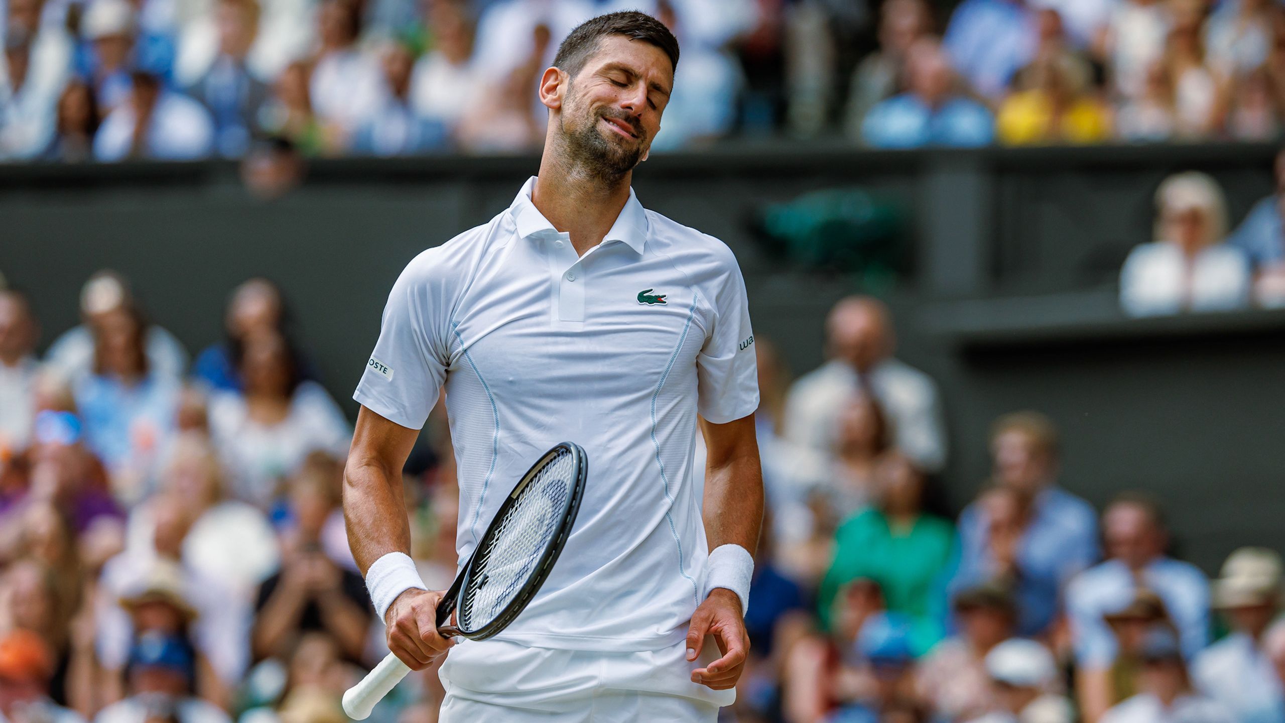 US Open 2024 Novak Djokovic, Carlos Alcaraz and Jannik Sinner are