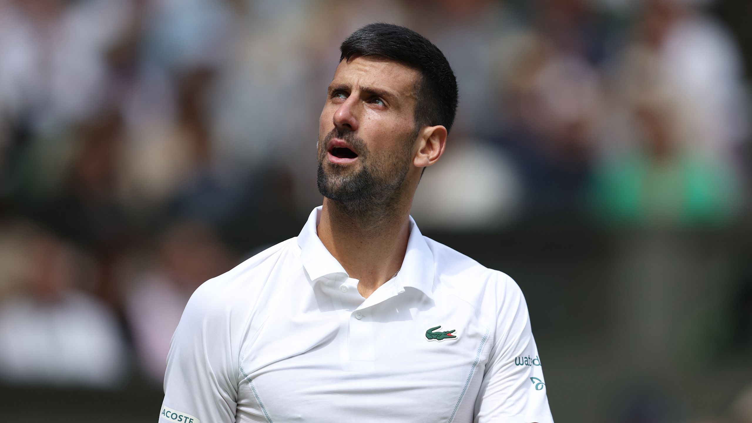 Wimbledon 2024: Novak Djokovic admits ‘level of tennis wasn’t up to par’ during straight-sets defeat to Carlos Alcaraz – Eurosport