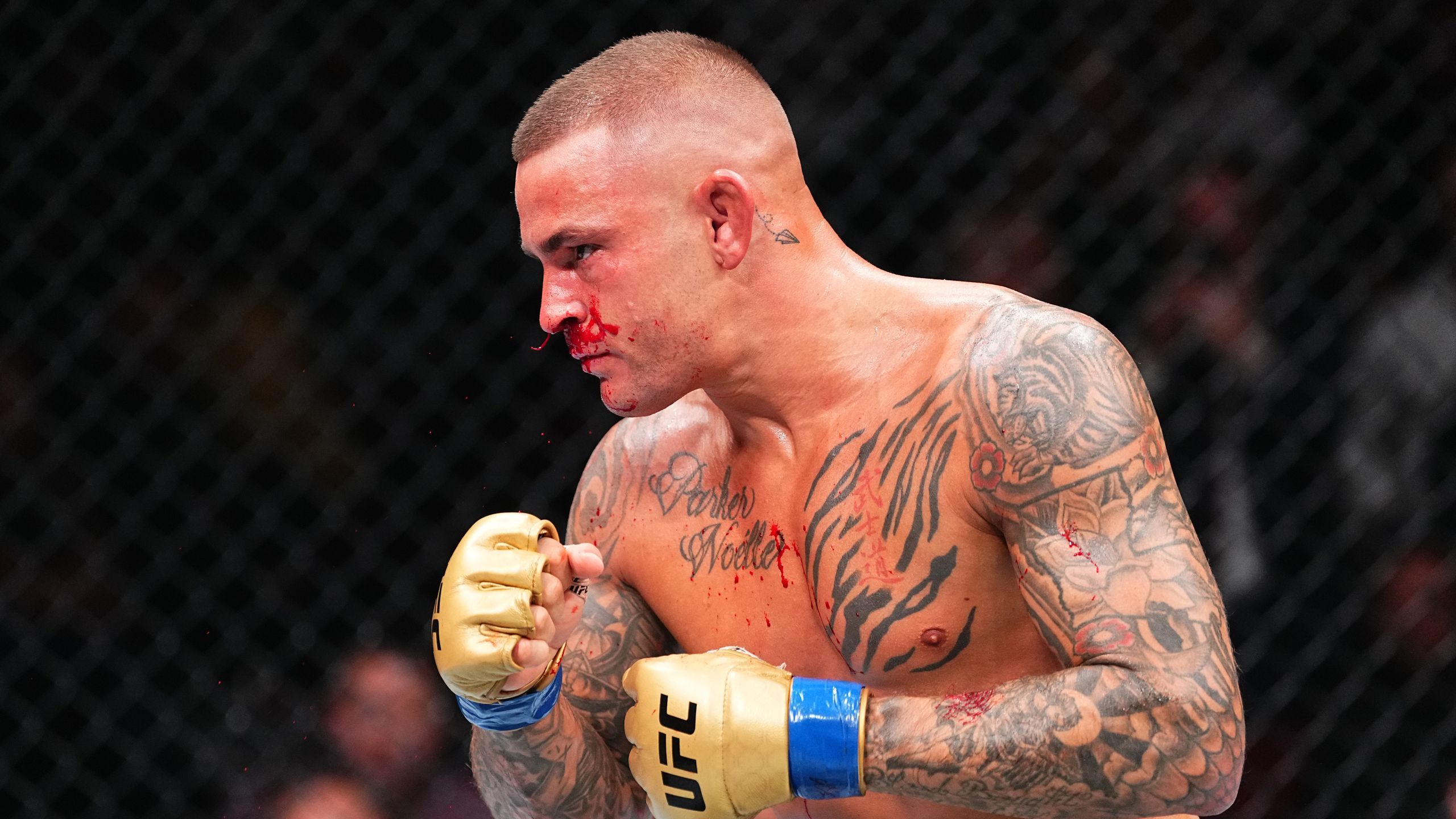UFC | Poirier confirma su regreso a la UFC: 