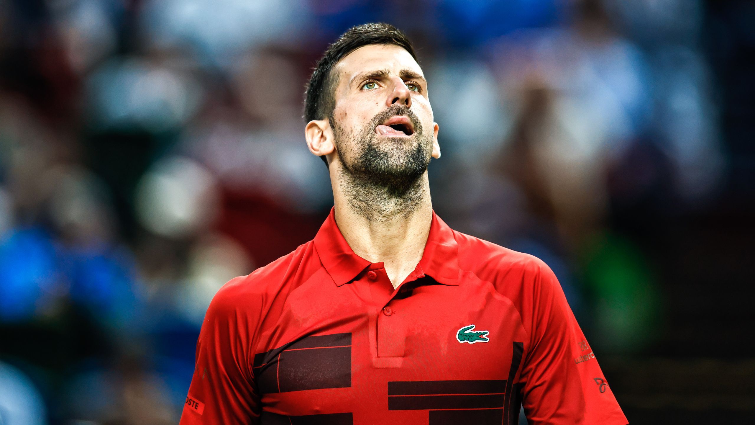 Novak DJOKOVIC main image 0