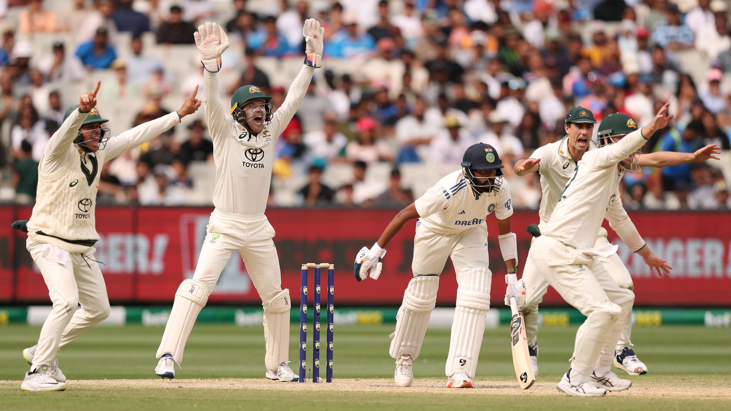 Cricket