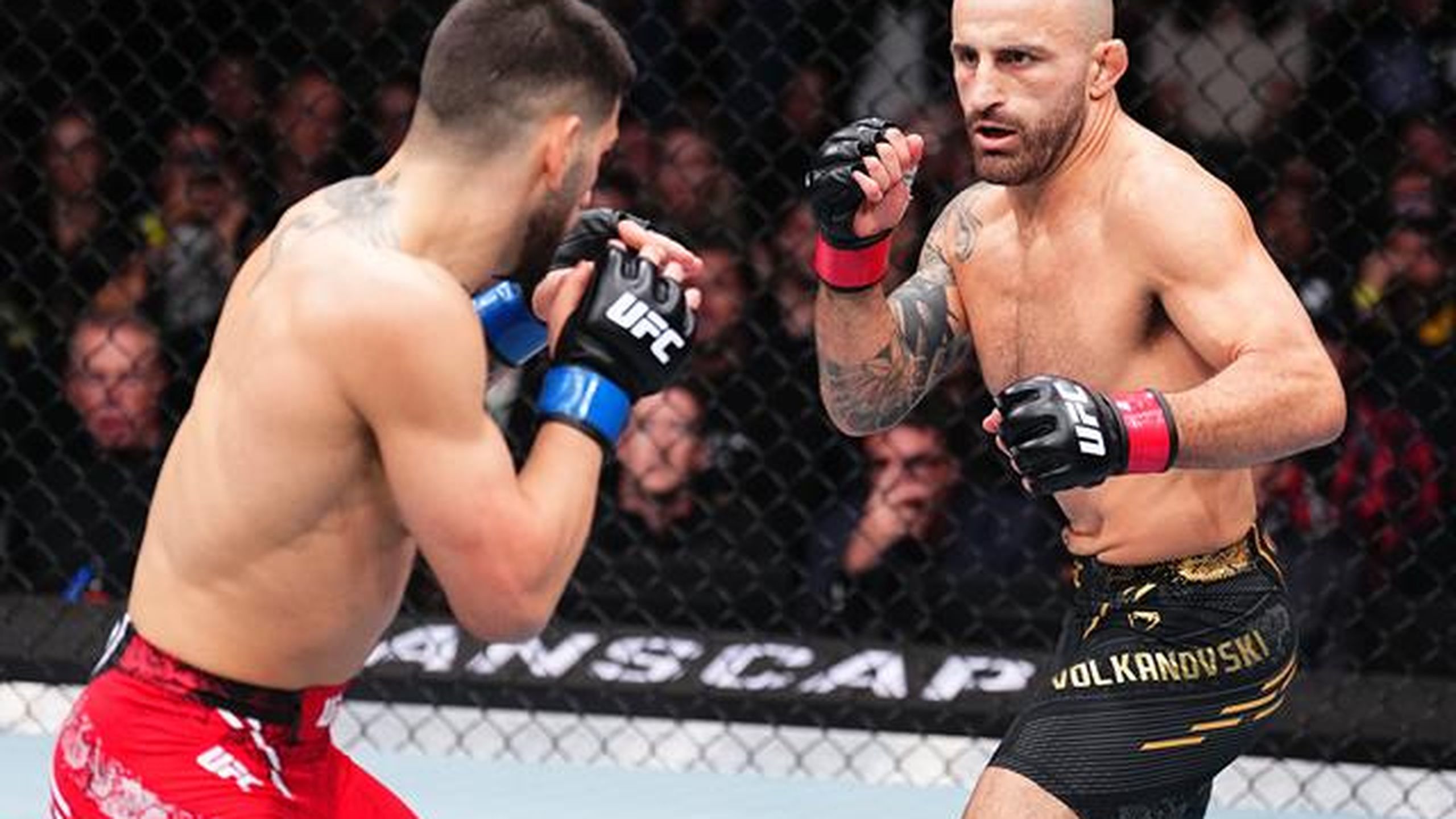 UFC su Eurosport e discovery+: regolamento e curiosità delle MMA nell ...