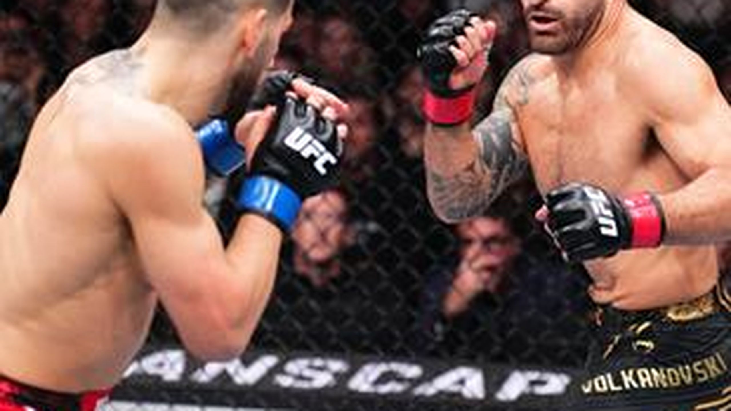 UFC su Eurosport e discovery+: regolamento e curiosità delle MMA nell ...