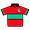 NEC jersey