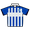 Brighton & Hove Albion jersey
