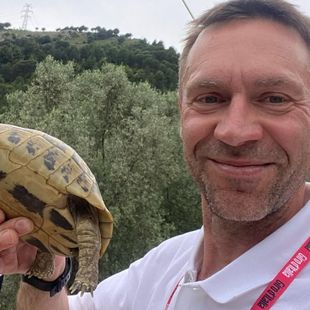 During the first Giro stage: Voigt saves a turtle