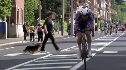 "Lauf doch schneller!" Frau und Hund platzen in Giro-Etappe