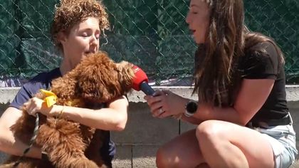 Kurioses Interview: Hund von Tour-Teilnehmerin beißt ins Mikro