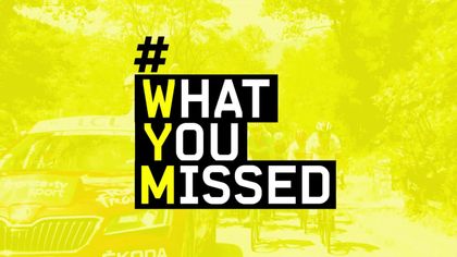 #WhatYouMissed in etappe 19 van de Tour de France 2019 - einde Tour Pinot & neutralisatie