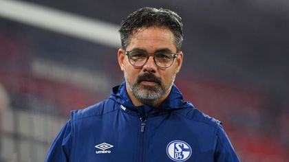 Rückkehr nach England: Ex-Schalke-Coach heuert in Norwich an