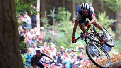 Uci downhill shop world champs 2019