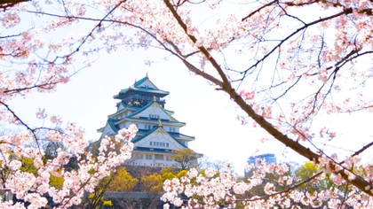 Spektakuläre Schönheit: Faszinierende Bilder von Japans Highlights