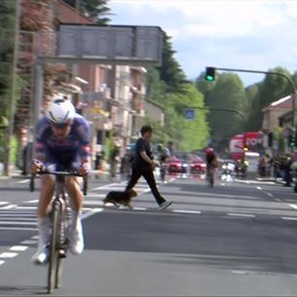 'Oh no!' - Woman crosses road with dog just moments before riders come past