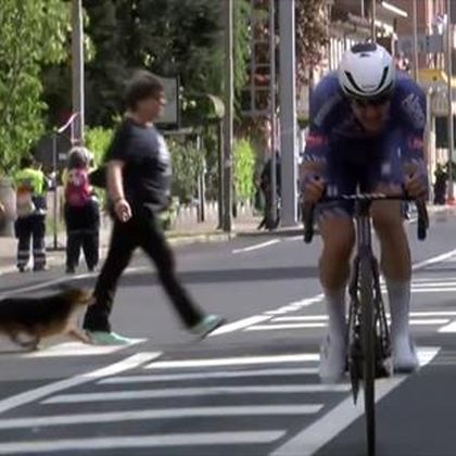 "Lauf doch schneller!" Frau und Hund platzen in Giro-Etappe