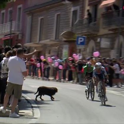 "Nierozsądni kibice". Kumulacja niebezpieczeństw na trasie Giro d'Italia