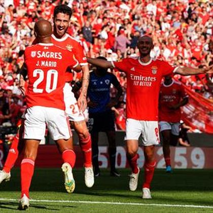 Roger Schmidt führt Benfica Lissabon zur Meisterschaft