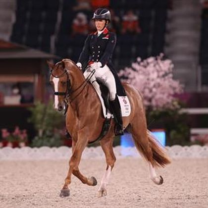 How do horses get to the Olympics? How do they train horses for dressage?