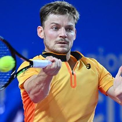 Goffin ends title drought with Montpellier crown