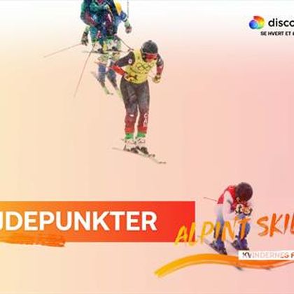 Skicross drama: Näslund tager guld - dommer giver bronzen til nummer fire