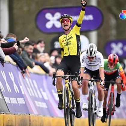 David top harmon cycling