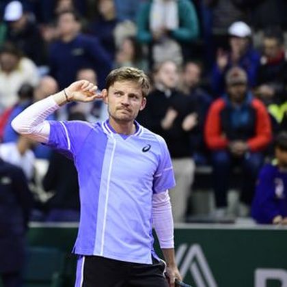 Goffin hits out at 'total disrespect' from 'hooligan' fans 