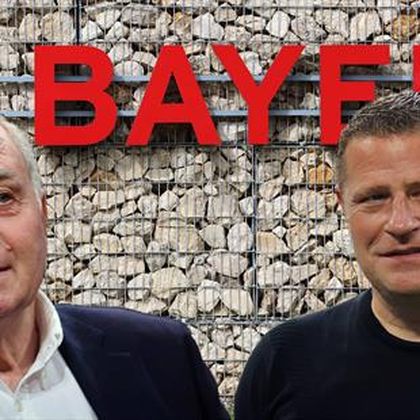 Kommentar zu Bayerns Trainersuche: Nur noch peinlich