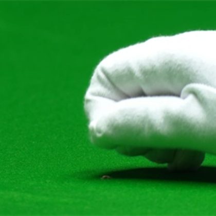 Frame-ul 19 al finalei Mondialului de snooker, întrerupt de... o insectă! Hohote de râs la Crucible