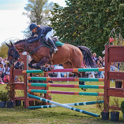 Un număr record de călăreți și cai înscriși la Karpatia Horse Show 2023