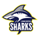 https://www.eurosport.com/basketball/teams/sheffield-sharks/teamcenter.shtml