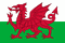 Ţara Galilor logo