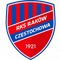 Raków Częstochowa logo