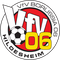 VfV 06 Hildesheim logo