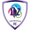 LNZ logo